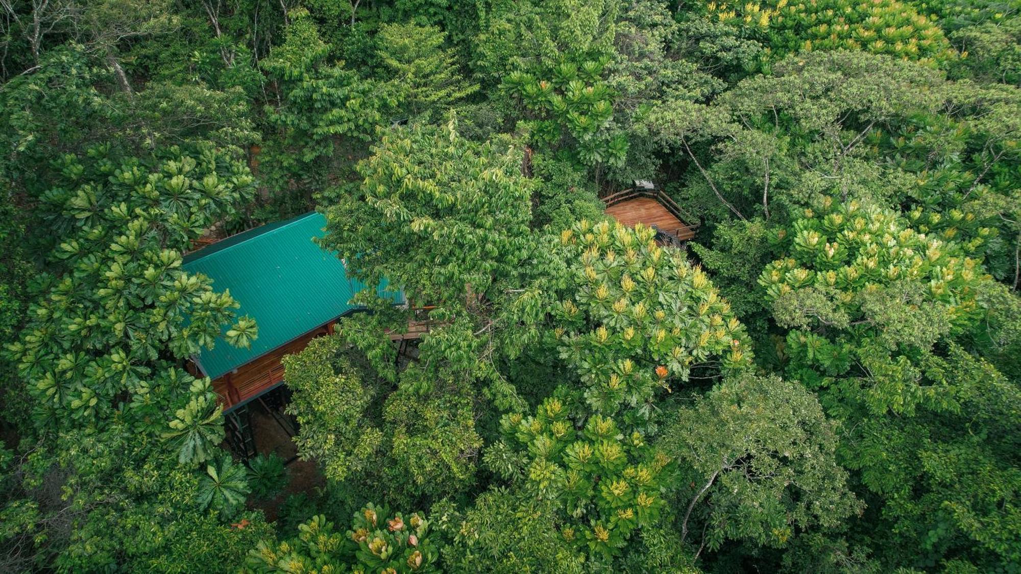 Chachagua Rainforest Hotel & Hot Springs La Fortuna Ngoại thất bức ảnh